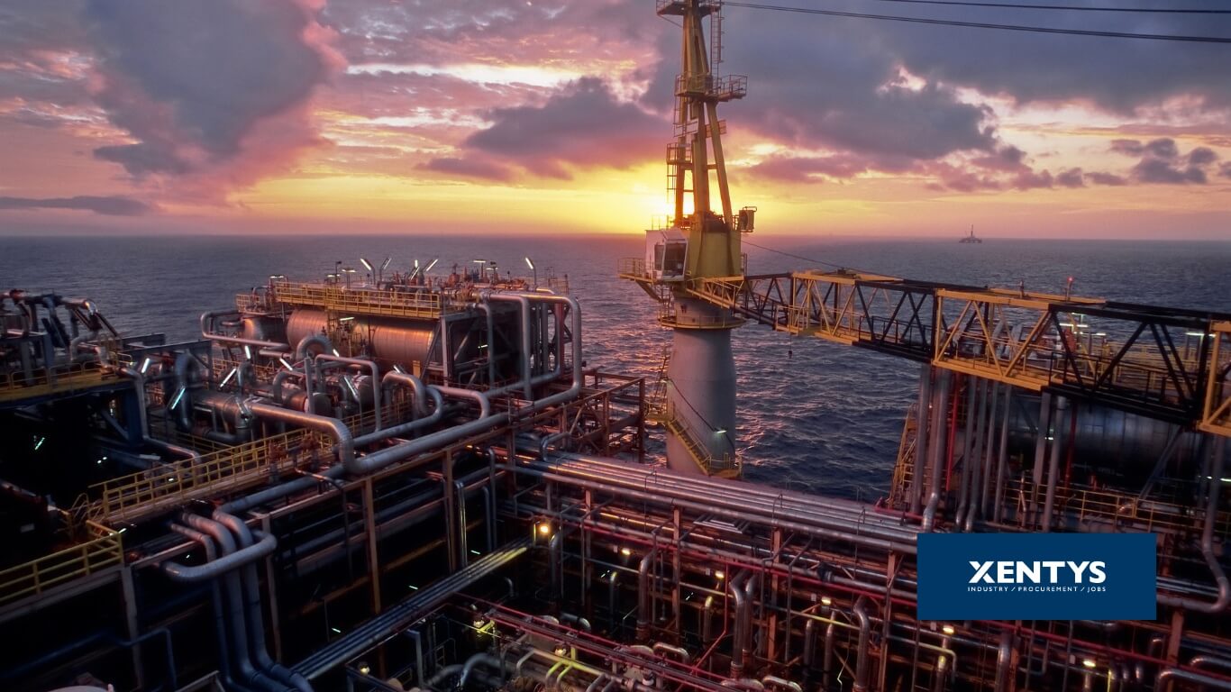 Junior Inkoper offshore
